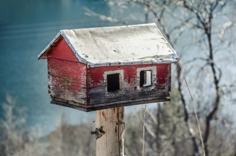 Property Management Tips for Home Improvement Projects