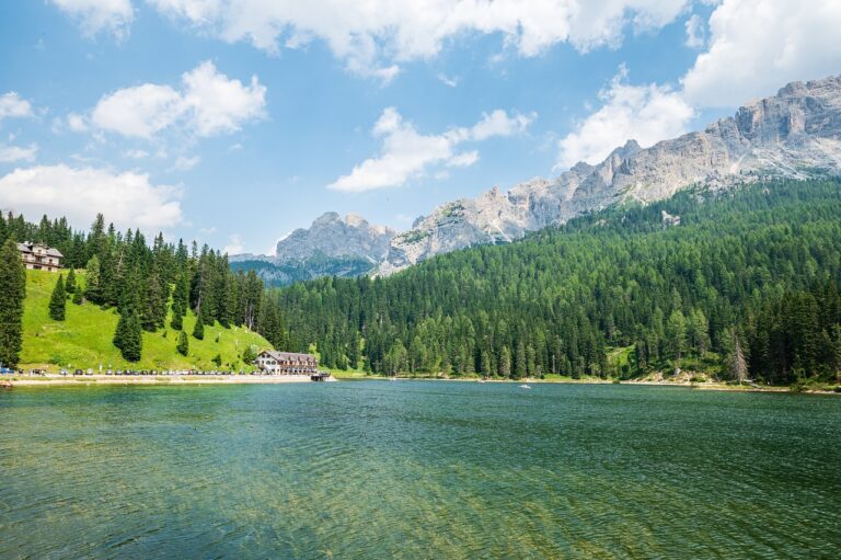 Sustainable Wildlife Tourism: Balancing Conservation and Visitor Experiences