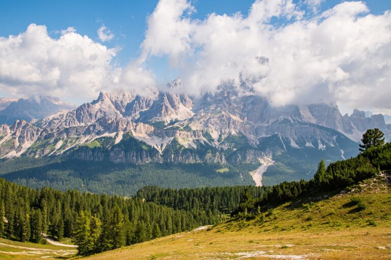 Ecotourism Best Practices: Minimizing Impact and Maximizing Conservation Efforts