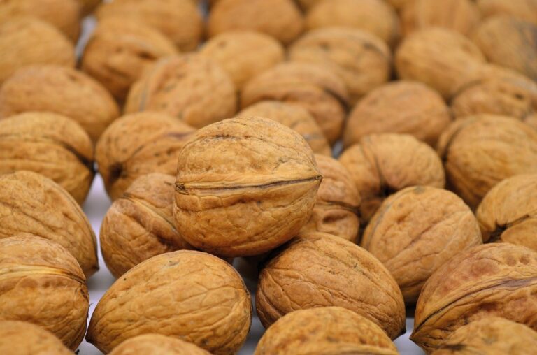 The Role of Food Industry in Supporting Sustainable Development Goals