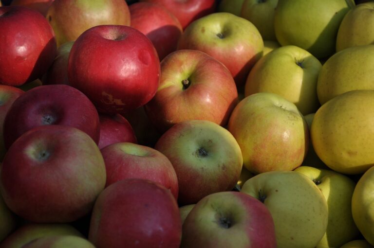 How to Improve the Grocery Store Shopping Experience: Diamond exchange sign up, Sky99exch com login, Reddy book club