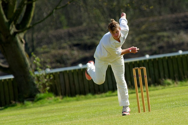 How to Use Online Cricket Games to Develop Strategic Planning: Laser247, Gold365, 11xplay