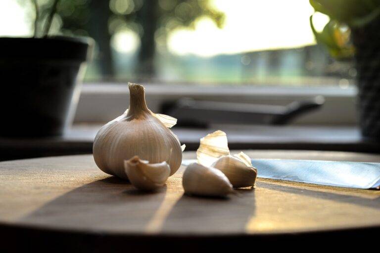Trends in Artisanal Foods in Grocery Retail: Cricbet99, Sky99exch, Reddy club book