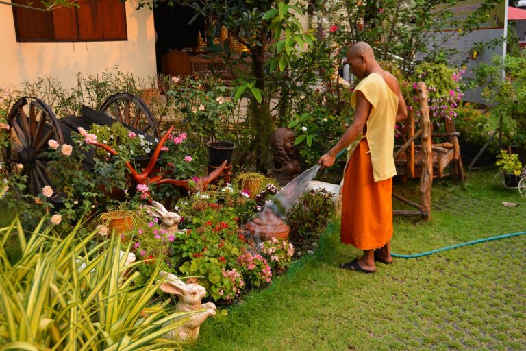Tips for Designing a Rockery Garden: Plants for Slopes and Rocky Terrain: Laser book 247 login registration number, Lotusbook9 com, 11xplay