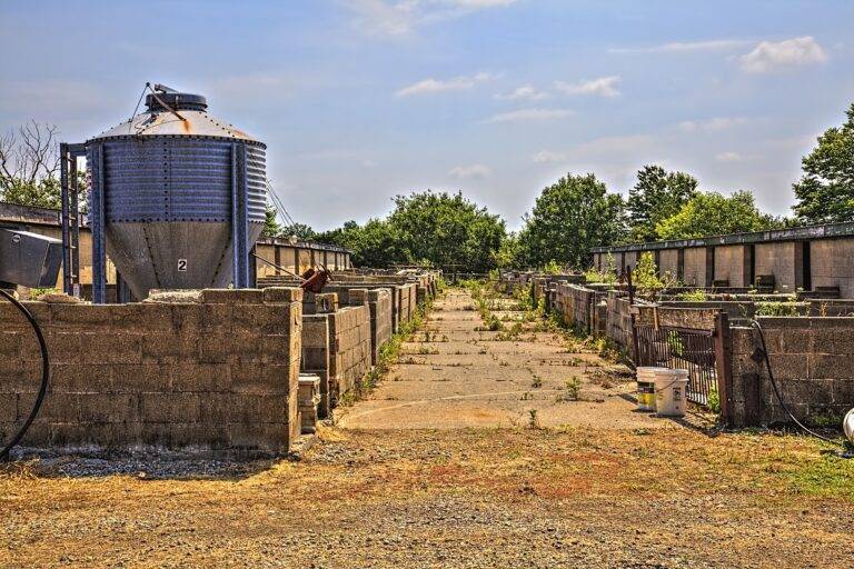 Metal Roofing: Sustainable Options for Schools: Betbhai9 login, Radhe exchange registration, 99 exchange